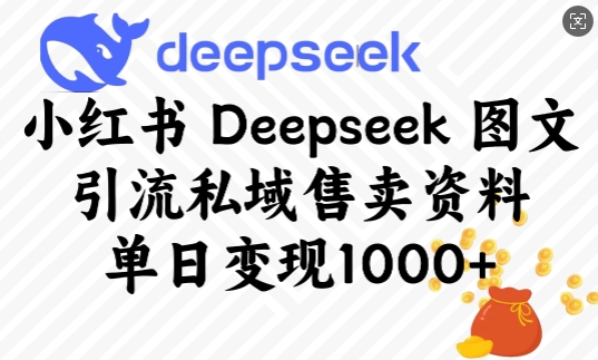 小红书Deepseek图文引流私域售卖资料，单日变现多张-皓收集 | 网创宝典