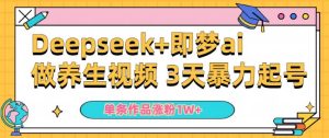 小白用DeepSeek+即梦做ai养生视频，一条作品涨粉5万+，单日收益多张--皓收集 | 网创宝典
