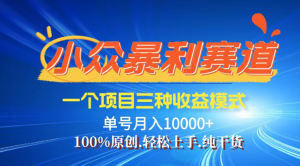 【灵狐计划】视频号最新爆火赛道，三种收益模式，0粉新号条条热门原创…--皓收集 | 网创宝典