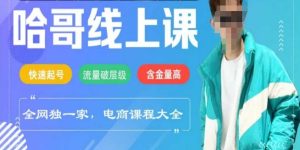 电商线上课程2025年，快速起号，流量破层级，这套方法起号率99%--皓收集 | 网创宝典