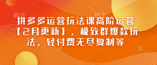 拼多多运营玩法课高阶运营【2月更新】，极致群爆款玩法，轻付费无尽复制等-皓收集 | 网创宝典