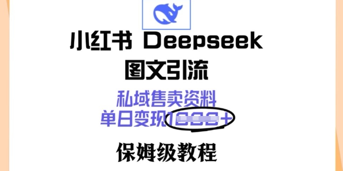 小红书Deepseek图文引流，私域售卖资料，单日变现多张，保姆级教程-皓收集 | 网创宝典