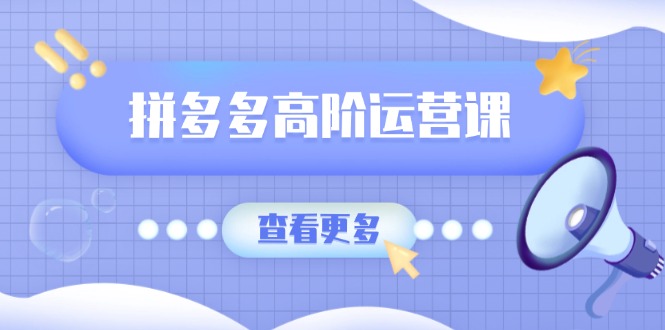 拼多多高阶运营课：极致群爆款玩法，轻付费无尽复制，打造单品爆款之路-皓收集 | 网创宝典