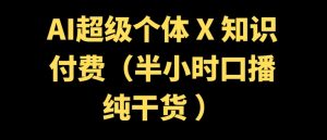 AI超级个体 + 知识付费(半小时口播纯干货 )--皓收集 | 网创宝典