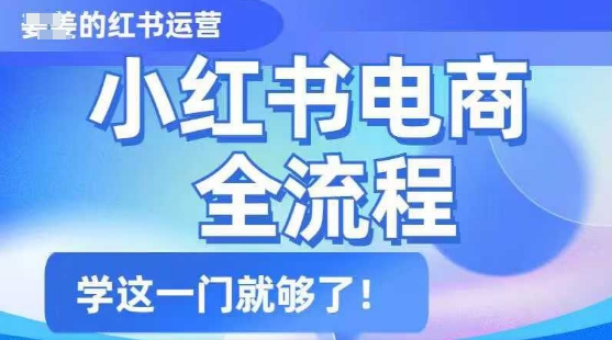 小红书电商全流程，精简易懂，从入门到精通，学这一门就够了-皓收集 | 网创宝典