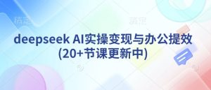 deepseek AI实操变现与办公提效(20+节课更新中)--皓收集 | 网创宝典