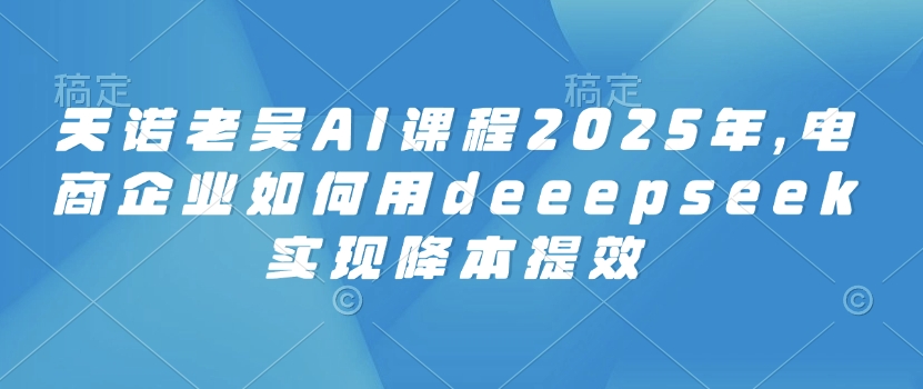 天诺老吴AI课程2025年，电商企业如何用deeepseek实现降本提效-皓收集 | 网创宝典