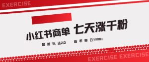 小红书商单2.0最新玩法，3天涨千粉单日变现多张--皓收集 | 网创宝典