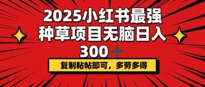 2025小红书最强种草项目，无脑日入300+，复制粘帖即可，多劳多得--皓收集 | 网创宝典