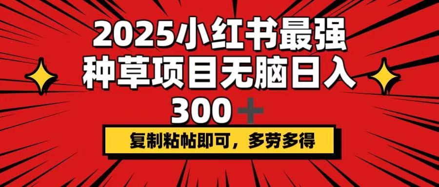 2025小红书最强种草项目，无脑日入300+，复制粘帖即可，多劳多得-皓收集 | 网创宝典