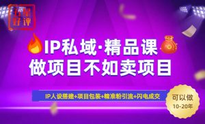 2025年“IP私域·密训精品课”，日赚3000+小白避坑年赚百万，暴力引流...--皓收集 | 网创宝典