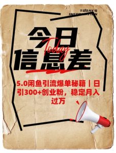 5.0闲鱼引流爆单秘籍，日引300+创业粉，稳定月入过W--皓收集 | 网创宝典