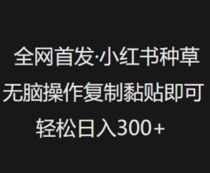 全网首发，小红书种草无脑操作，复制黏贴即可，轻松日入3张--皓收集 | 网创宝典