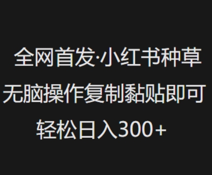 全网首发，小红书种草无脑操作，复制黏贴即可，轻松日入3张-皓收集 | 网创宝典