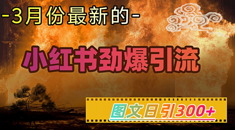 小红书超劲爆引流手段，图文日引300+轻松变现1W-皓收集 | 网创宝典