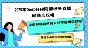 2025年Deepseek附能绿幕直播间挣米攻略无需拜师自学月入过W保姆级教程，最适合小白宝妈的轻创业--皓收集 | 网创宝典