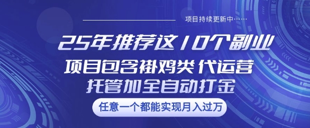 25年推荐这10个副业项目包含褂鸡类、代运营托管类、全自动打金类【揭秘】-皓收集 | 网创宝典