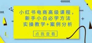 小红书电商高级课程，新手小白必学方法，实操教学+案例分析--皓收集 | 网创宝典