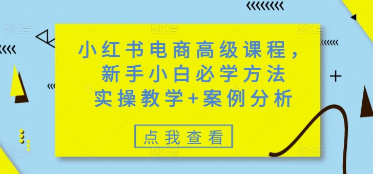 小红书电商高级课程，新手小白必学方法，实操教学+案例分析-皓收集 | 网创宝典