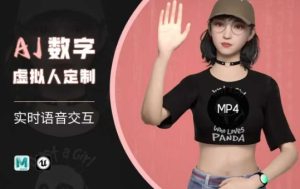 Ai数字人虚拟(智能体)实时语音交互特训营，​自行定制超写实角色AI数字人交互技术--皓收集 | 网创宝典