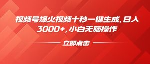 视频号爆火视频十秒一键生成，日入3000+，小白无脑操作 --皓收集 | 网创宝典