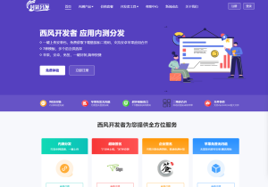 2025修复版 仿第八区APP分发系统源码 | 免签封装+多端打包 | 支持安卓/IOS/EXE分发+企业签名--皓收集 | 网创宝典