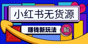 小红书无货源赚钱新玩法：无需涨粉囤货直播，轻松实现日破2w--皓收集 | 网创宝典