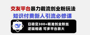 交友平台暴力截流创业粉玩法，知识付费新人引流必修课，日稳定300+精准…--皓收集 | 网创宝典