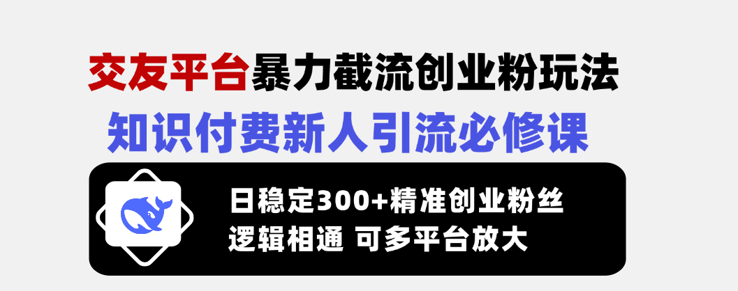 交友平台暴力截流创业粉玩法，知识付费新人引流必修课，日稳定300+精准…-皓收集 | 网创宝典