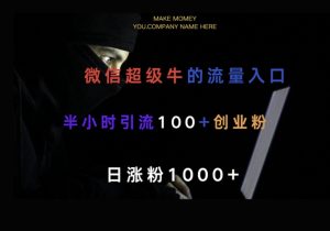 微信版知乎，一小时引流100+创业粉，日涨粉1000+--皓收集 | 网创宝典
