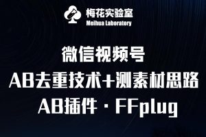 视频号连怼玩法-FFplug玩法AB插件使用+测素材教程-梅花实验室社群专享课--皓收集 | 网创宝典