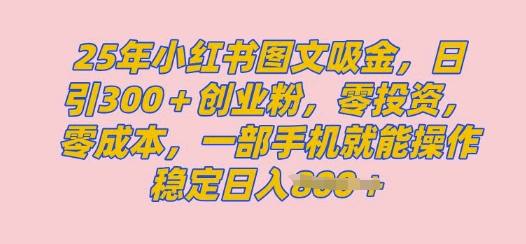 2025年小红书创业粉图文自热教程，日+300创业粉，单日变现多张，无脑操作，宝妈，小白抓紧冲-皓收集 | 网创宝典