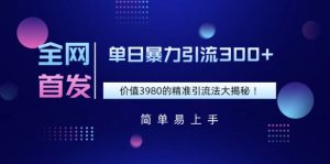 全网首发，价值3980单日暴力引流300+的精准引流法大揭秘--皓收集 | 网创宝典