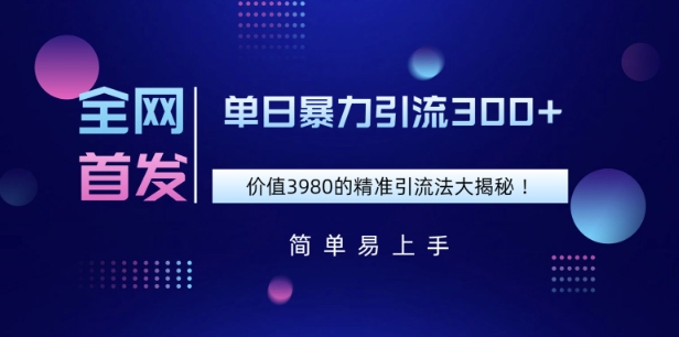 全网首发，价值3980单日暴力引流300+的精准引流法大揭秘-皓收集 | 网创宝典