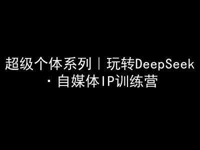 超级个体系列，玩转DeepSeek·自媒体IP训练营，deepseek教程-皓收集 | 网创宝典