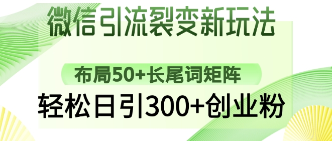 微信引流裂变新玩法：布局50+长尾词矩阵，轻松日引300+创业粉-皓收集 | 网创宝典