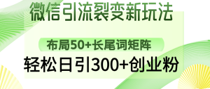 微信引流裂变新玩法：布局50+长尾词矩阵，轻松日引300+创业粉--皓收集 | 网创宝典