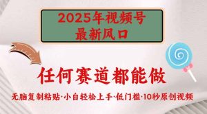 2025年视频号新风口，低门槛只需要无脑执行 --皓收集 | 网创宝典