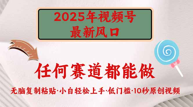 2025年视频号新风口，低门槛只需要无脑执行 -皓收集 | 网创宝典