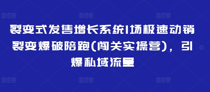 裂变式发售增长系统1场极速动销裂变爆破陪跑(闯关实操营)，引爆私域流量-皓收集 | 网创宝典