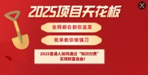 2025项目天花板普通人如何通过知识付费，实现财F自由【揭秘】--皓收集 | 网创宝典