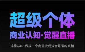 2025超级个体商业认知·觉醒直播，揭秘从0-1做成一个商业变现抖音账号的真相--皓收集 | 网创宝典