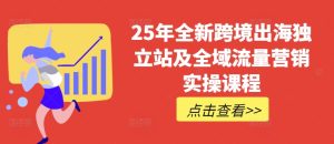 25年全新跨境出海独立站及全域流量营销实操课程，跨境电商独立站TIKTOK全域营销普货特货玩法大全--皓收集 | 网创宝典