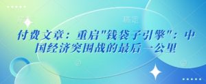 付费文章：重启”钱袋子引擎”：中国经济突围战的最后一公里--皓收集 | 网创宝典