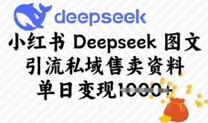 小红书Deepseek 图文引流私域售卖资料，单日变现多张--皓收集 | 网创宝典