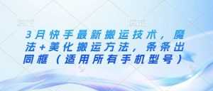 3月快手最新搬运技术，魔法+美化搬运方法，条条出同框（适用所有手机型号）--皓收集 | 网创宝典