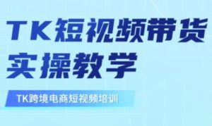 东南亚TikTok短视频带货，TK短视频带货实操教学--皓收集 | 网创宝典