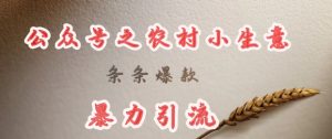 deepseek写农村小项目，条条爆款，暴力引流--皓收集 | 网创宝典