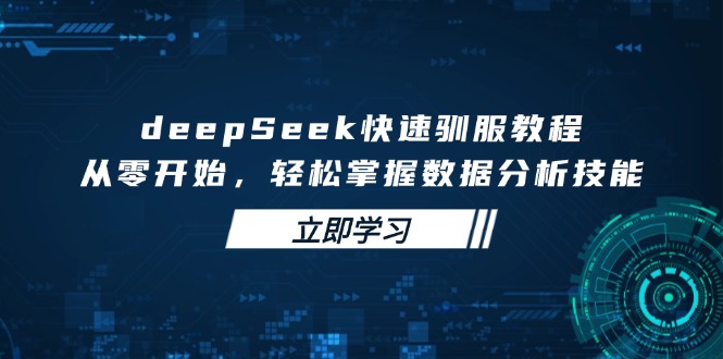 deepSeek快速驯服教程，从零开始，轻松掌握数据分析技能-皓收集 | 网创宝典