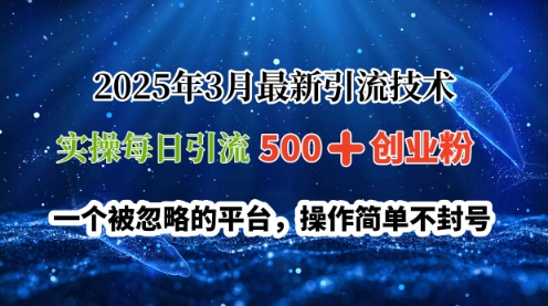 2025年3月最新引流技术，实操每日引流500+创业粉，一个被忽略的平台，操作简单不封号-皓收集 | 网创宝典